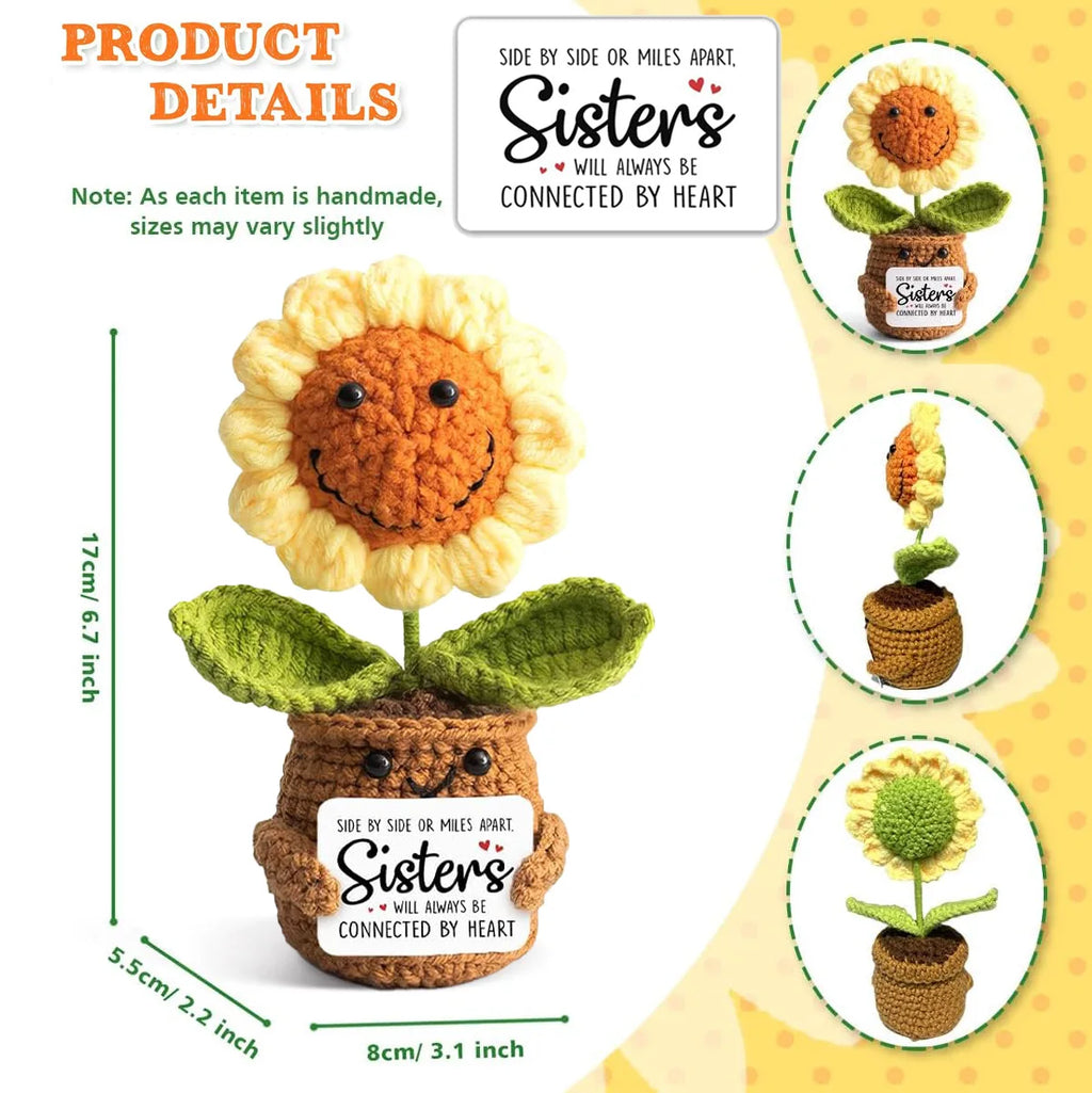 Positive Energy Pocket Hug Crochet Doll, Mini Handmade Knitted Plush Potato Turtle Vegetable Duck Funny Support Gift with Card